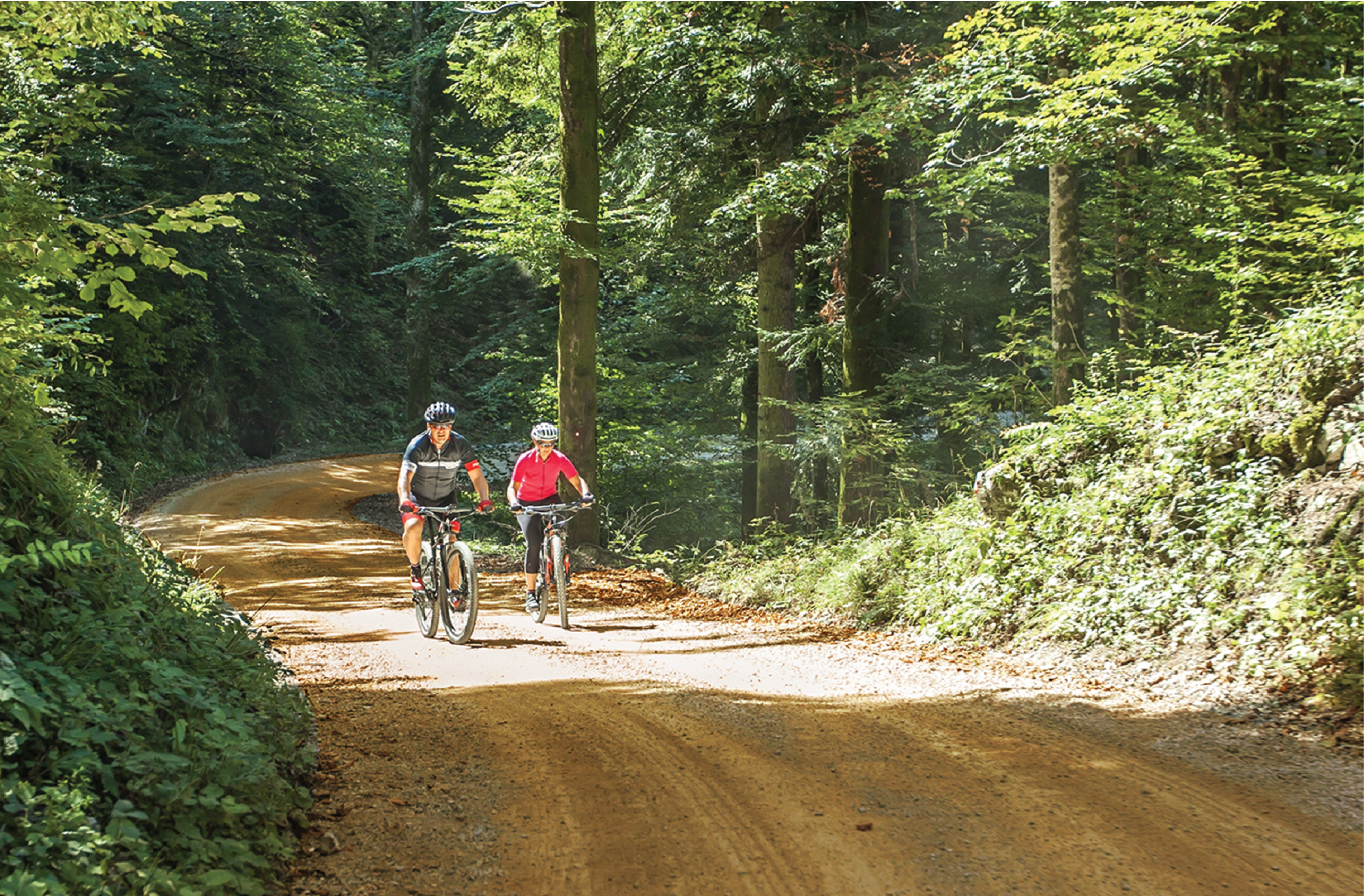 two adults riding bikes through the St. Francis National Forest on the Helena Ridge Ride route